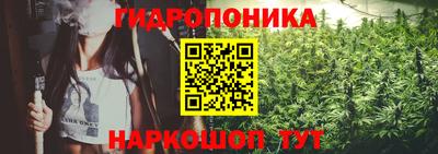 сатива Ярославль