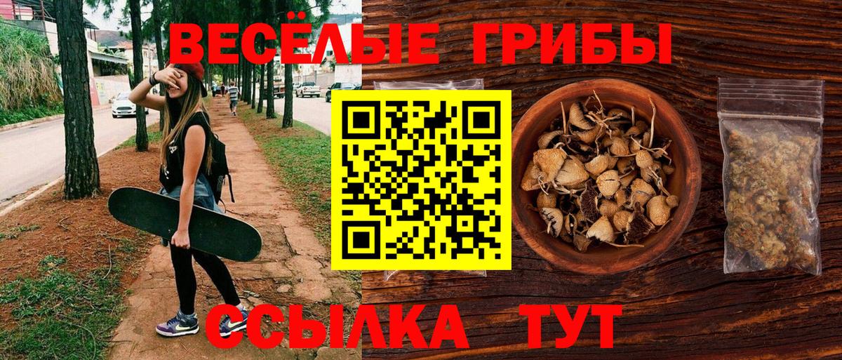 Псилоцибиновые грибы MAGIC MUSHROOMS Волжский